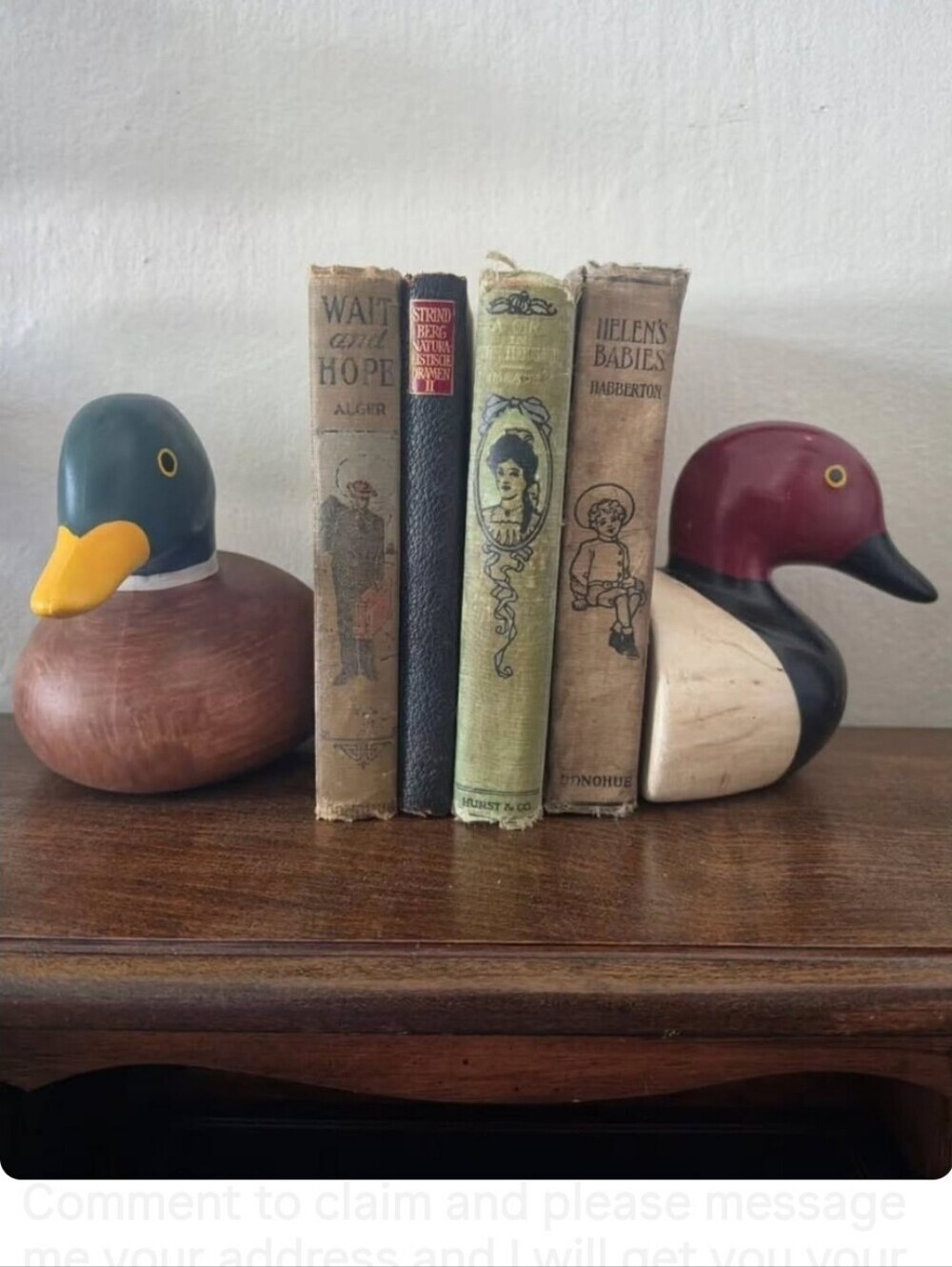Vintage Duck Bookends